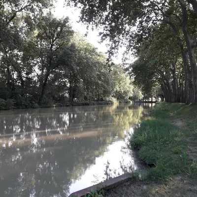 a river with trees on the side of it at gite au village in Mourvilles-Hautes