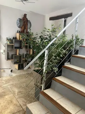 a staircase with a bunch of plants on it at LA PASTOURELLE in Saint-Chinian