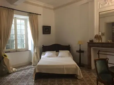 a bedroom with a large bed and a fireplace at château de Paulignan in Trausse