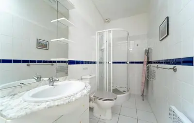 a bathroom with a sink and a toilet and a shower at Nice Home In Chalabre With Wifi in Chalabre