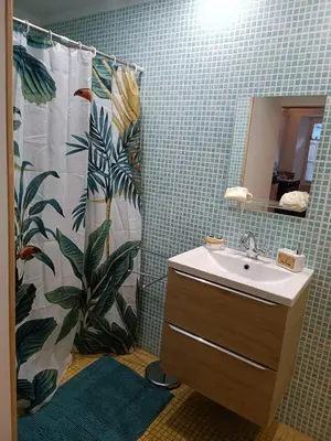 a bathroom with a sink and a shower curtain at L'écrin in Lacroisille