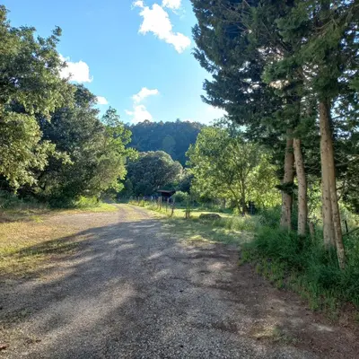a dirt road with trees on either side at Gîte avec jacuzzi, et accès privé à la rivière in Ladern-sur-Lauquet