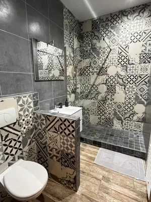 a bathroom with a toilet and a sink and a shower at Loccitan in Capestang