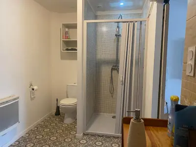 a bathroom with a shower and a toilet at La P’tite Maison de David in Saint-Hilaire