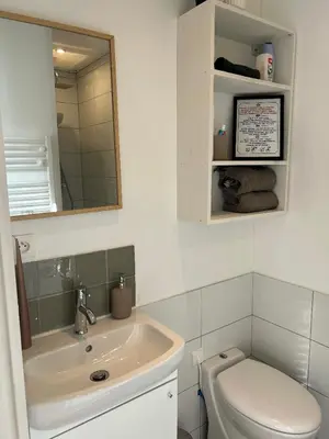 a bathroom with a sink and a toilet and a mirror at Studio hyper centre de castres in Castres