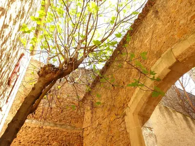 a tree in front of a stone wall at GîTE-FAMILLE NOMBREUSE-SÉMINAIRE-PATIO in Ornaisons