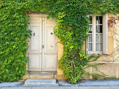 an ivy covered building with a door and a window at Chez Elise - Gîte de charme - Abbaye de Fontfroide in Bizanet