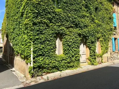 a building covered in ivy on the side of a street at Chez Elise - Gîte de charme - Abbaye de Fontfroide in Bizanet