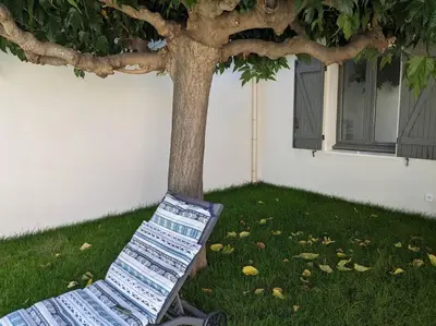 a bench sitting under a tree next to a building at Petite Bulle in Narbonne