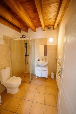a bathroom with a toilet and a shower and a sink at Appartement près du canal du midi in Mirepeisset