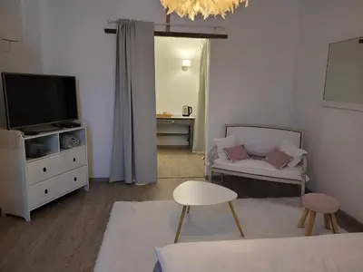 a living room with a couch and a tv at Chambre d'hôte in Revel