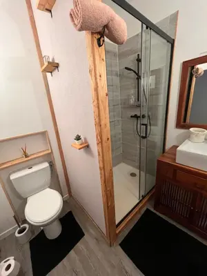a bathroom with a shower and a toilet and a sink at Chambre d'hôte in Revel