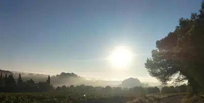 a foggy field with the sun in the sky at Studio confortable et calme au millieu des vignes in Moussan