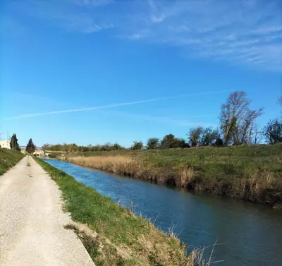 a dirt road next to a river at Studio confortable et calme au millieu des vignes in Moussan