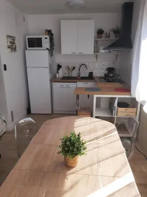 a kitchen with a wooden table with a potted plant on it at Studio mer Neuf Port la Nouvelle in Port-la-Nouvelle