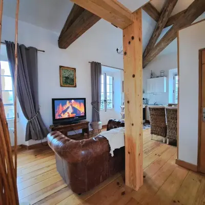 a living room with a couch and a television at La Maison du Canal- vue Canal- L'ère du Temps in Homps