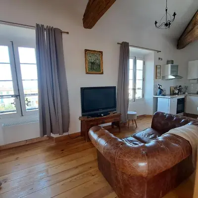 a living room with a leather couch and a television at La Maison du Canal- vue Canal- L'ère du Temps in Homps