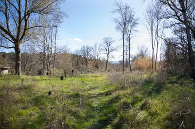 a field with grass and trees in the background at Zen Experience including Yoga & Healthy food in Ladern-sur-Lauquet