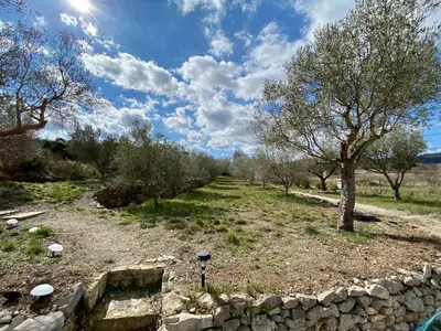 a field with trees and a stone wall at Gite Thym spa au coeur d'une oliveraie des Corbières in Saint-Jean-de-Barrou