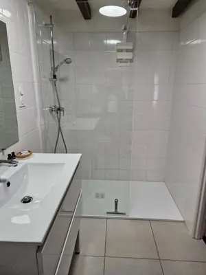 a white bathroom with a shower and a sink at Le Grand Cerf - 4 Couchages in Nalzen