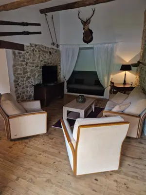 a living room with two couches and a fireplace at Le Grand Cerf - 4 Couchages in Nalzen