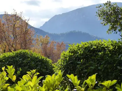 a group of bushes with mountains in the background at Scenic Retreat w Terrace in Quillan