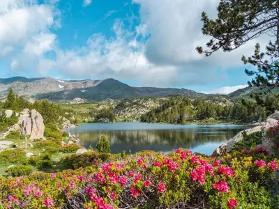 a view of a lake with flowers at Peaceful Pyrenees Retreat in Quillan