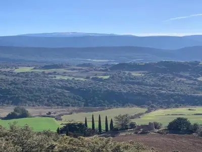 a view of a field with cypress trees on a hill at Peaceful Pyrenees Retreat in Quillan