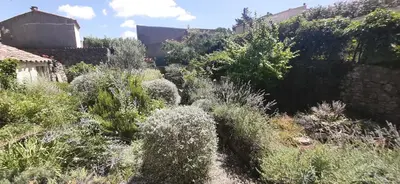 a garden with lots of bushes and trees at Maison isivier in Magrie