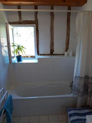 a bathroom with a tub and a window and a plant at Maison du Breilh in Mirepoix