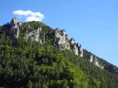 a mountain covered in trees with a cloud in the sky at Maison Bon Ton in Paraza