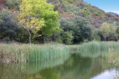 a body of water with trees in the background at La romance. in Prugnanes