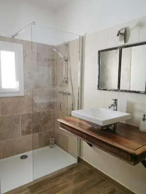 a bathroom with a sink and a shower at L'althea in Carcassonne