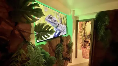 a painting of a lizard hanging on a wall at Tropical Lodge SPA Narbonne in Narbonne