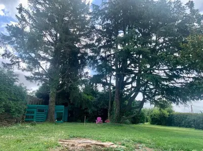 a large tree in the middle of a yard at Gîte de France Chez Fati in Les Brunels
