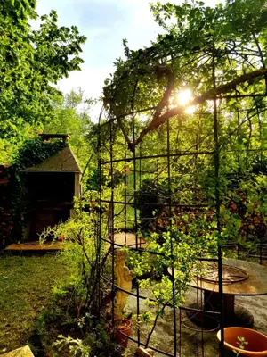 a garden with a trellis in the middle of a yard at La Scierie in Quillan