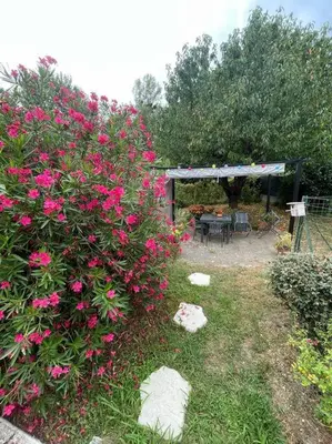 a garden with pink flowers and a pergola at Appart T2 au Vernet d'Ariège avec jardin privatif in Le Vernet