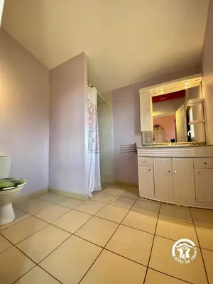 a bathroom with a sink and a toilet in a room at Le joyaux d'ambre in La Pomarède