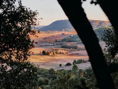 a view of a field with trees and a mountain at Domaine de Roquenégade - Piscine, sauna et bain nordique in Pradelles-en-Val