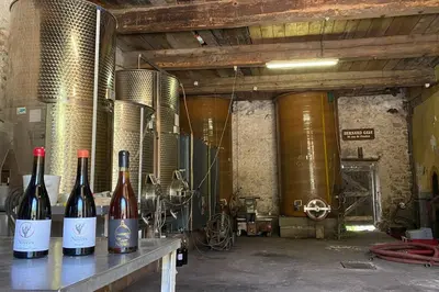 three bottles of wine sitting on a table in a cellar at Haut de maison et piscine dans un domaine viticole in Montbrun-des-Corbières