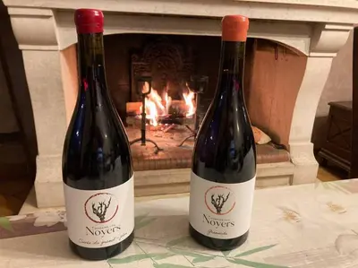 two bottles of wine sitting next to a fireplace at Haut de maison et piscine dans un domaine viticole in Montbrun-des-Corbières