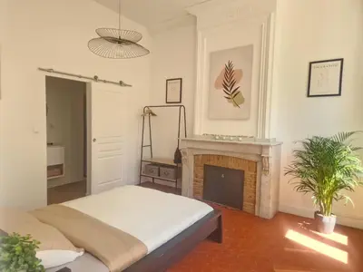 a living room with a bed and a fireplace at Appartement à 100m des Barques in Narbonne