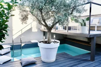 a tree in a large white pot sitting on a deck at La Maison Blanche 5*, Piscine & vue Cité Médiévale in Carcassonne
