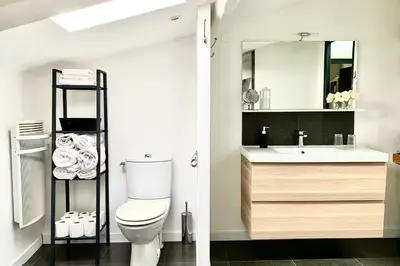 a bathroom with a toilet and a sink and a mirror at La Maison Blanche 5*, Piscine & vue Cité Médiévale in Carcassonne
