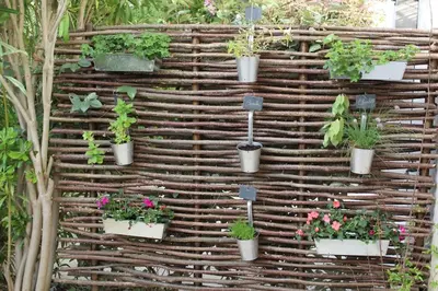 a vertical wooden wall with potted plants on it at Maison provençale en Corbières in Saint-Laurent-de-la-Cabrerisse