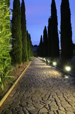 a cobblestone street with a row of trees and lights at Maison provençale en Corbières in Saint-Laurent-de-la-Cabrerisse