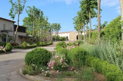 a garden with flowers and bushes on a street at Maison provençale en Corbières in Saint-Laurent-de-la-Cabrerisse