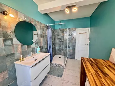 a bathroom with a sink and a shower at Appartement Minervoise - Gare Carcassonne in Carcassonne