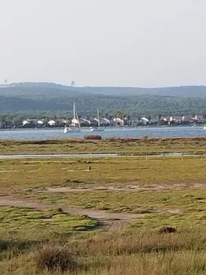 a field with a body of water and a river at L'hippocampe in Gruissan