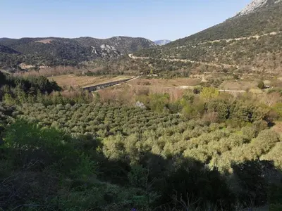 an aerial view of a forest with a train in the distance at Le lodge cocooning in Ansignan